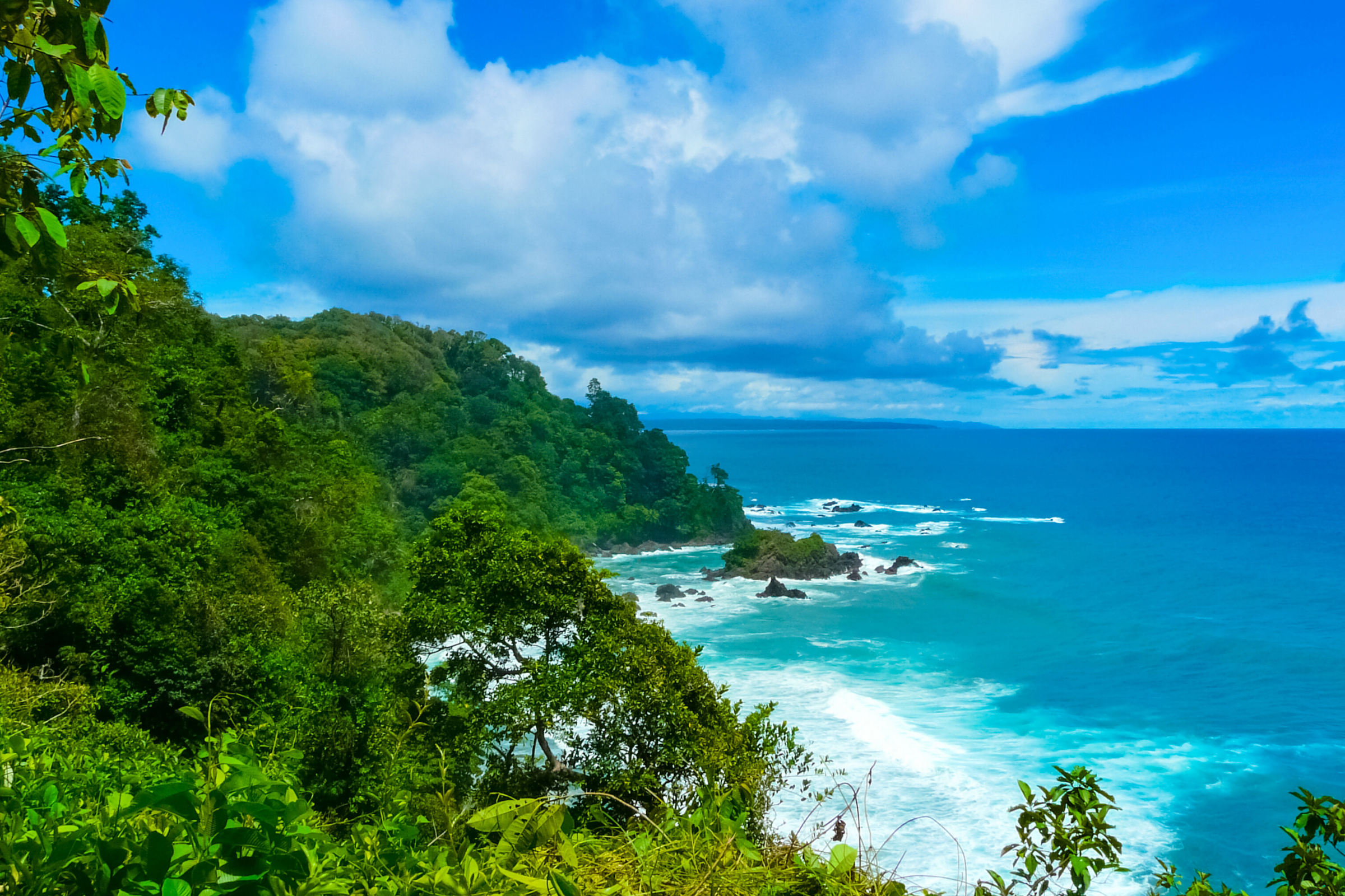 150 corcovado national park.webp
